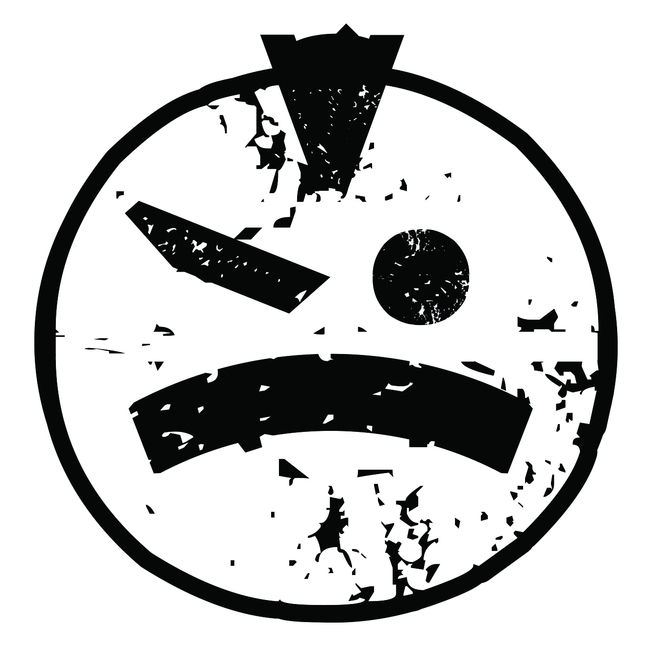 Anti-Lam Fronts åpne intranettside